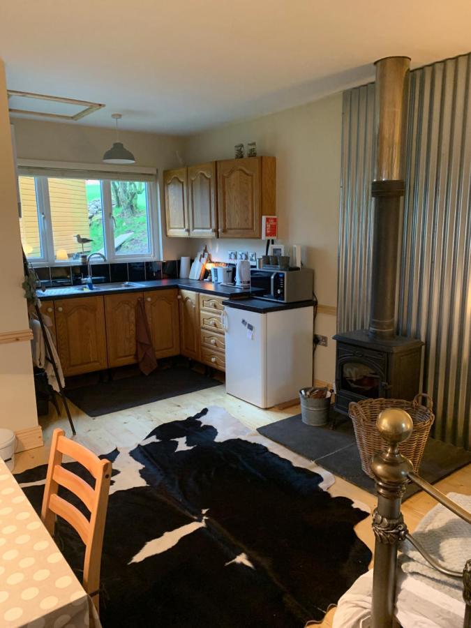 Willow Lodge دبلن المظهر الخارجي الصورة